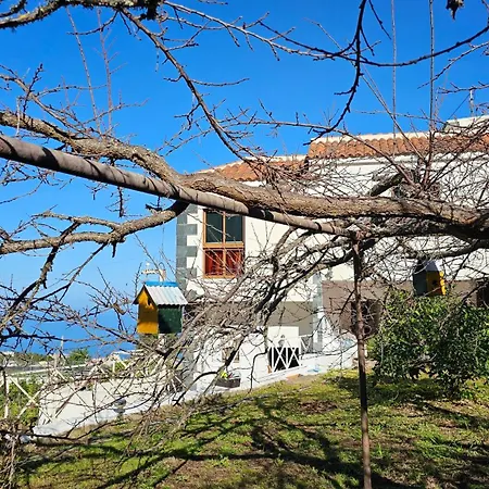Hotel Casa Rural La Campina En Icod De Los Vinos